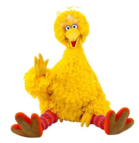 Big Bird packs up and travels to California to visit his bird cousin, Little Bird.